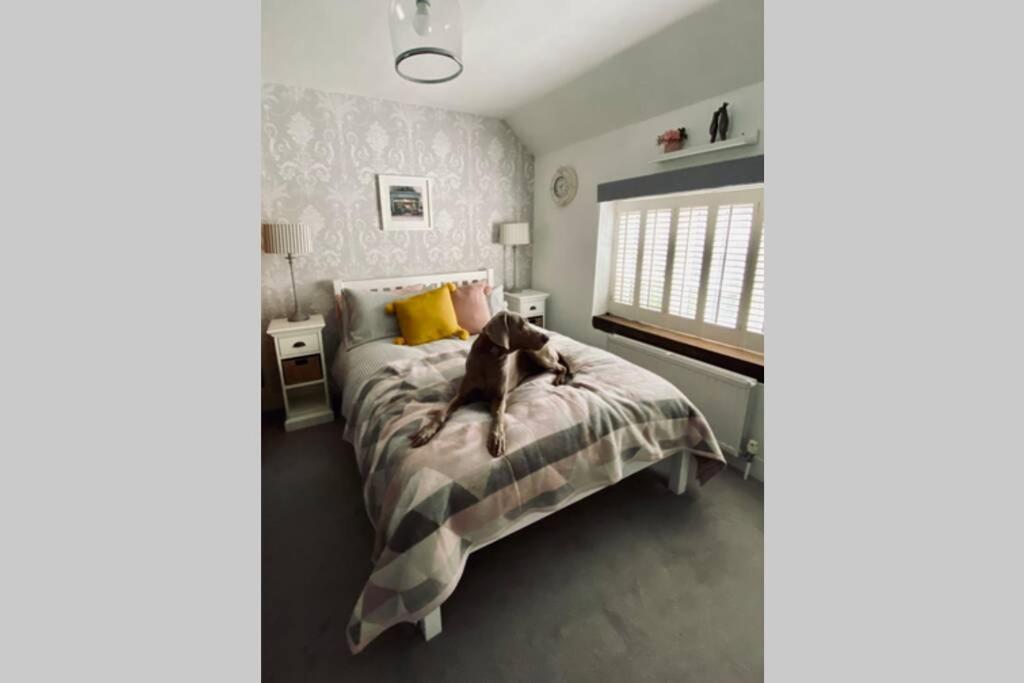 Angel Cottage, Boxgrove, Chichester - Relax And Unwind Exteriör bild